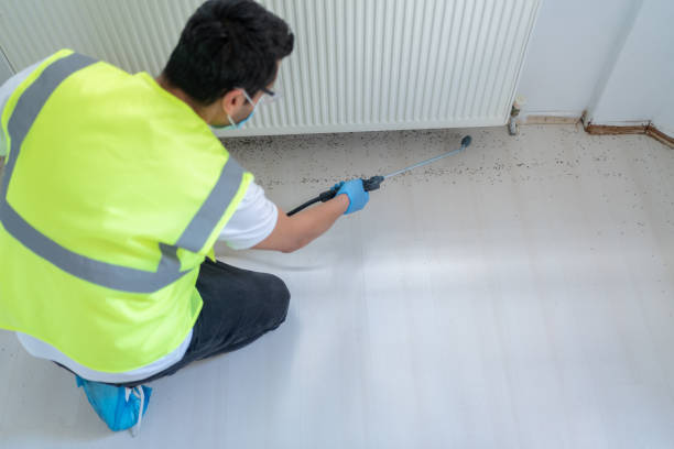 Best Fumigation Services  in Sutherlin, OR